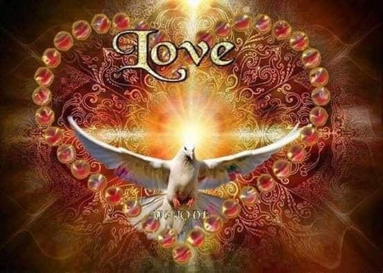 48418090_289089228616930_1632017719131897856_n