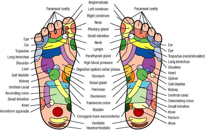 foot chart 1