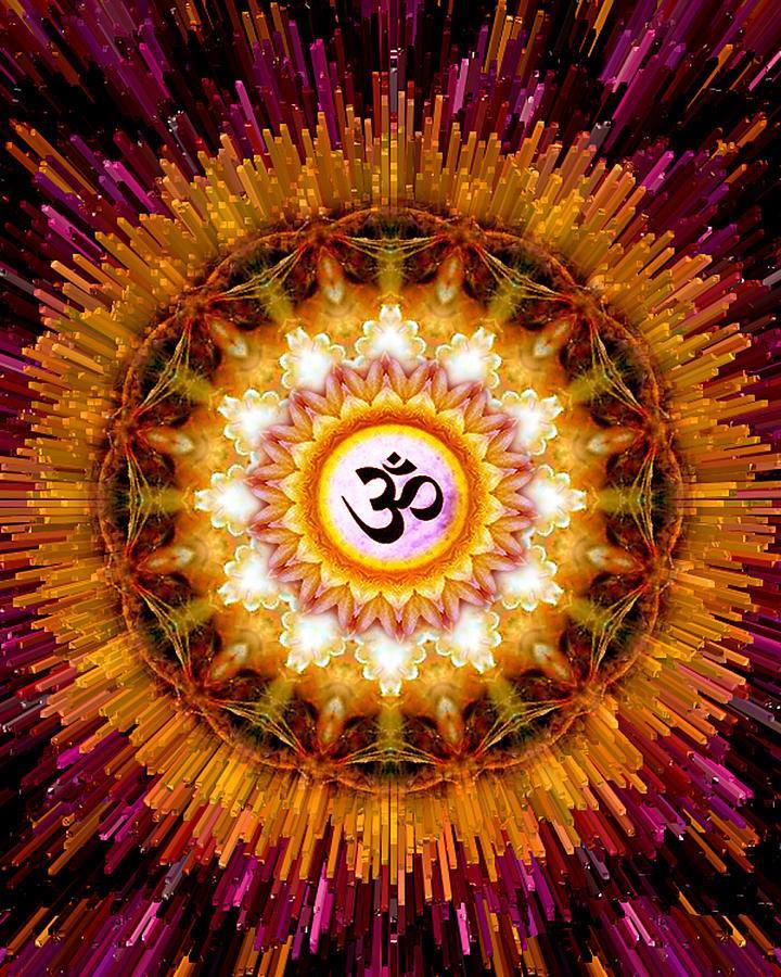 13335748_1339416522741746_9161117904363466659_n