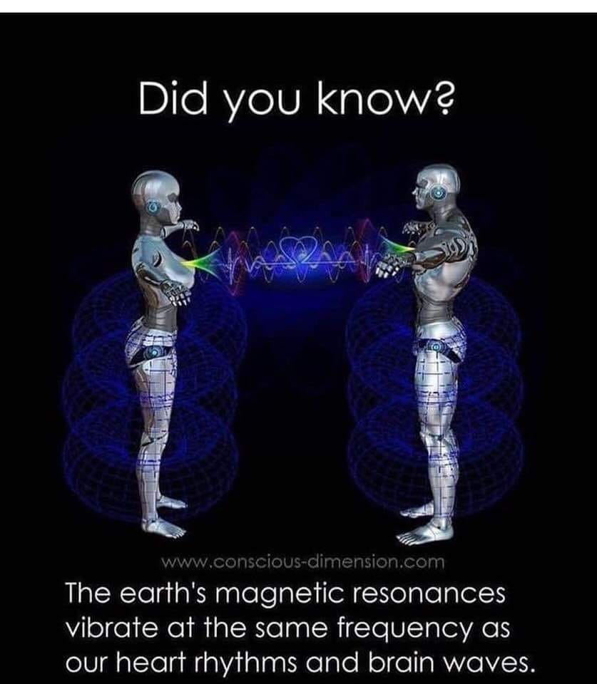 earthsmagneticfieldpeople