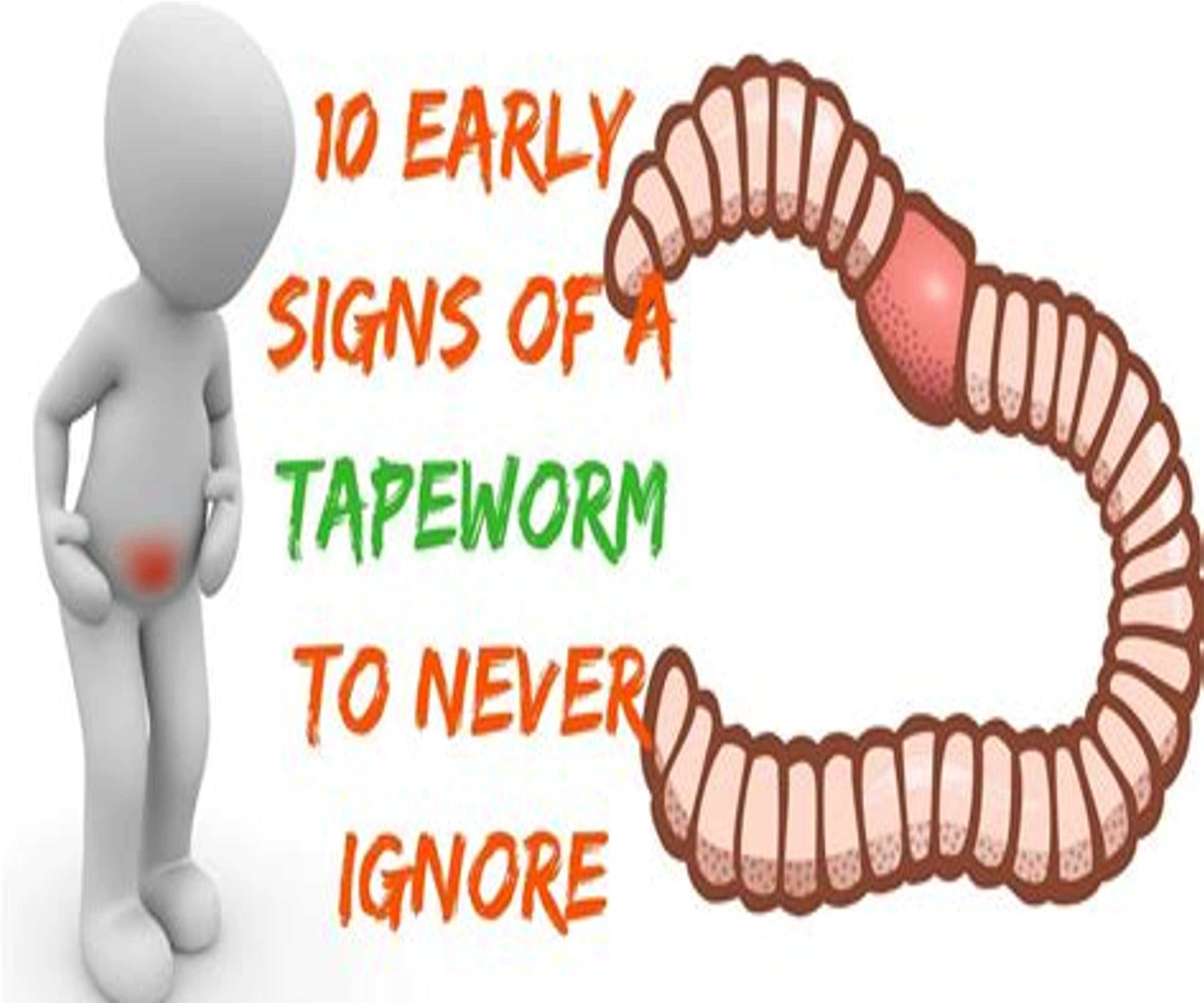tapeworm