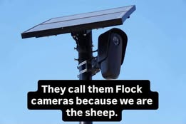 May be an image of text that says "They call them Flock cameras because we are the sheep."